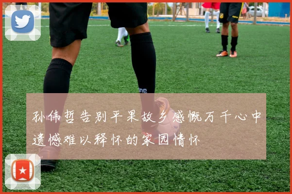 孙伟哲告别平果故乡感慨万千心中遗憾难以释怀的家园情怀