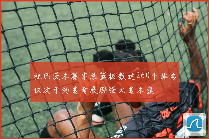 祖巴茨本赛季总篮板数达260个排名仅次于约基奇展现强大基本盘
