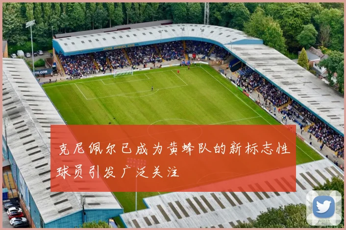 克尼佩尔已成为黄蜂队的新标志性球员引发广泛关注