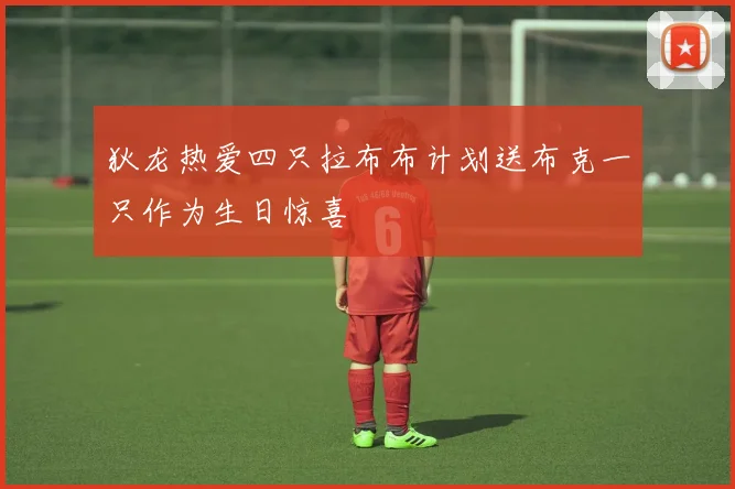 狄龙热爱四只拉布布计划送布克一只作为生日惊喜