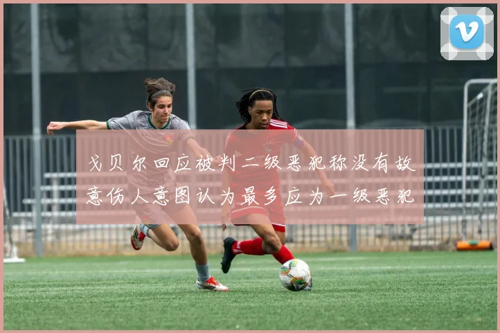 戈贝尔回应被判二级恶犯称没有故意伤人意图认为最多应为一级恶犯