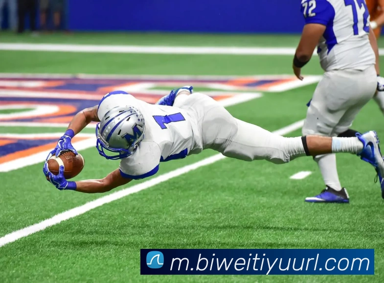 必威体育平台生态图