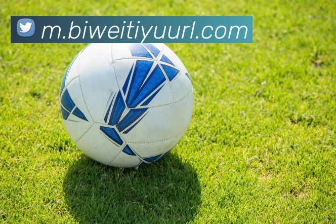 必威体育APP 封面图